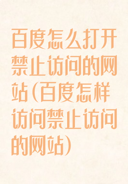 百度怎么打开禁止访问的网站(百度怎样访问禁止访问的网站)