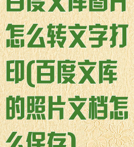 百度文库图片怎么转文字打印(百度文库的照片文档怎么保存)