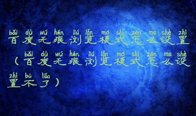 百度无痕浏览模式怎么设置(百度无痕浏览模式怎么设置不了)