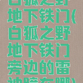 白狐之野地下铁门(白狐之野地下铁门旁边的雷神瞳在哪)