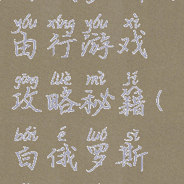 白俄罗斯自由行游戏攻略秘籍(白俄罗斯怎么去)