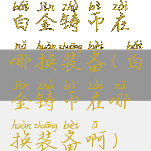 白金铸币在哪换装备(白金铸币在哪换装备啊)