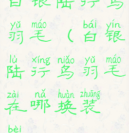 白银陆行鸟羽毛(白银陆行鸟羽毛在哪换装备)