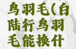 白银陆行鸟羽毛(白陆行鸟羽毛能换什么)