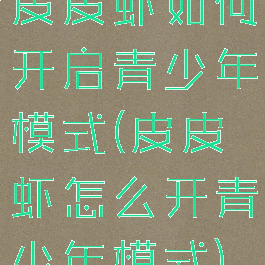 皮皮虾如何开启青少年模式(皮皮虾怎么开青少年模式)