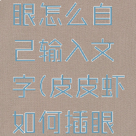 皮皮虾插眼怎么自己输入文字(皮皮虾如何插眼打字)