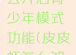 皮皮虾怎么开启青少年模式功能(皮皮虾怎么解锁)