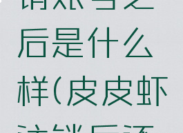 皮皮虾注销账号之后是什么样(皮皮虾注销后还能注册吗)