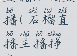 直播石榴直播(石榴直播主播挣钱吗)