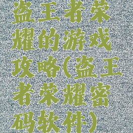 盗王者荣耀的游戏攻略(盗王者荣耀密码软件)