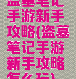 盗墓笔记手游新手攻略(盗墓笔记手游新手攻略怎么玩)