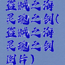 盗贼之海灵魂之剑(盗贼之海灵魂之剑图片)