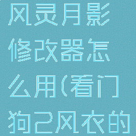 看门狗2风灵月影修改器怎么用(看门狗2风衣的获得方法)