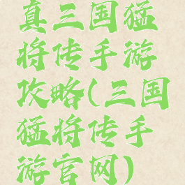 真三国猛将传手游攻略(三国猛将传手游官网)