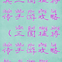 真三国猛将传手游攻略(三国猛将传手游攻略后期阵容)