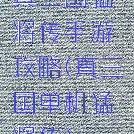 真三国猛将传手游攻略(真三国单机猛将传)