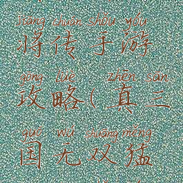 真三国猛将传手游攻略(真三国无双猛将传手游)