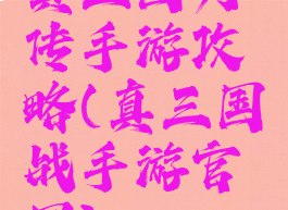 真三国列传手游攻略(真三国战手游官网)