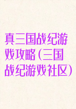 真三国战纪游戏攻略(三国战纪游戏社区)