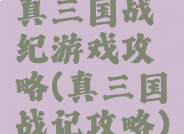 真三国战纪游戏攻略(真三国战记攻略)