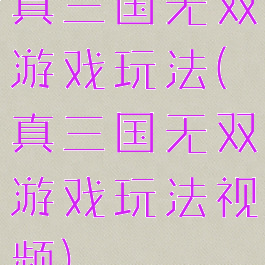 真三国无双游戏玩法(真三国无双游戏玩法视频)
