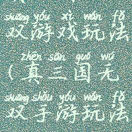 真三国无双游戏玩法(真三国无双手游玩法)