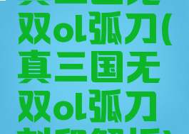 真三国无双ol弧刀(真三国无双ol弧刀刻印解析)