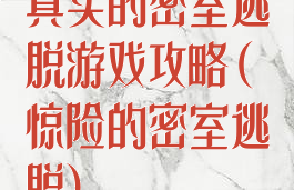 真实的密室逃脱游戏攻略(惊险的密室逃脱)