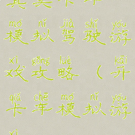 真实卡车模拟驾驶游戏攻略(开卡车模拟游戏)