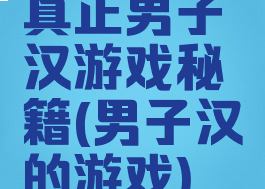 真正男子汉游戏秘籍(男子汉的游戏)