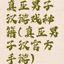 真正男子汉游戏秘籍(真正男子汉官方手游)