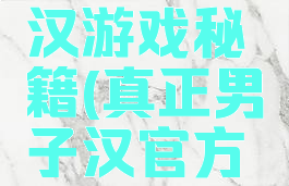 真正男子汉游戏秘籍(真正男子汉官方手游下载)
