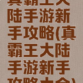 真霸王大陆手游新手攻略(真霸王大陆手游新手攻略大全)