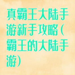 真霸王大陆手游新手攻略(霸王的大陆手游)