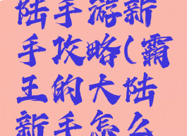 真霸王大陆手游新手攻略(霸王的大陆新手怎么玩)