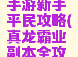 真龙霸业手游新手平民攻略(真龙霸业副本全攻略)
