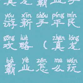 真龙霸业手游新手平民攻略(真龙霸业怎么玩)