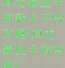 真龙霸业手游新手平民攻略(真龙霸业手游官网)
