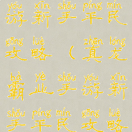 真龙霸业手游新手平民攻略(真龙霸业手游新手平民攻略视频)