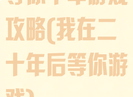 等你十年游戏攻略(我在二十年后等你游戏)