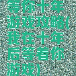 等你十年游戏攻略(我在十年后等着你游戏)