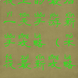 筏上的最后一天手游新手攻略(木筏最新攻略)