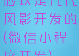 砂铁是几代风影开发的(微信小程序开发)