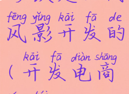 砂铁是几代风影开发的(开发电商平台)