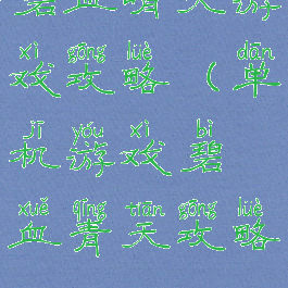 碧血晴天游戏攻略(单机游戏碧血青天攻略)