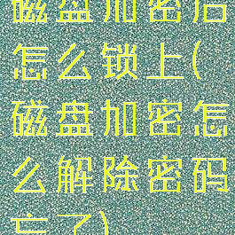 磁盘加密后怎么锁上(磁盘加密怎么解除密码忘了)