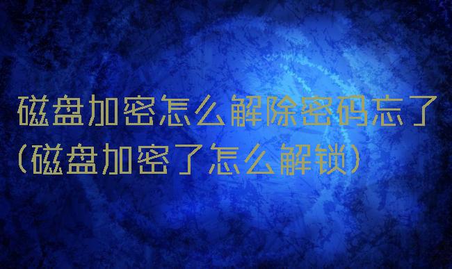 磁盘加密怎么解除密码忘了(磁盘加密了怎么解锁)