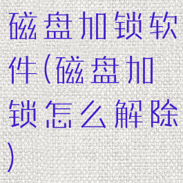 磁盘加锁软件(磁盘加锁怎么解除)