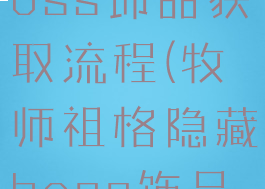 祖格隐藏boss饰品获取流程(牧师祖格隐藏boss饰品获取流程)