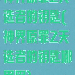神界原罪2天选者的钥匙(神界原罪2天选者的钥匙哪里用)